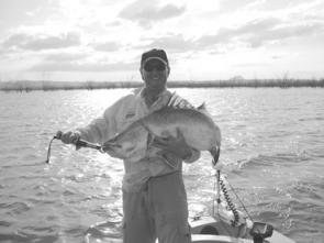 This is what impoundment barra fishing is all about – big fat barra.